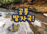 공룡발자국